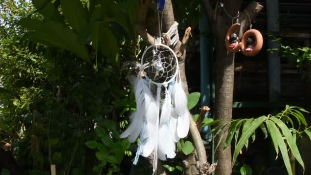 Movimiento Del Viento Atrapasueños Hecho Mano Atrapasueños Colgando Árbol Jardín — Vídeo de stock