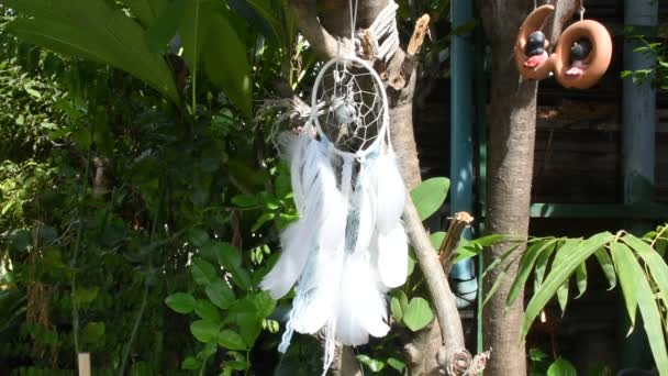 Movimento Vento Catcher Sonho Artesanal Dreamcatcher Pendurado Árvore Jardim Casa — Vídeo de Stock