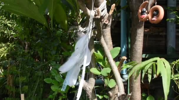 Movimiento Del Viento Atrapasueños Hecho Mano Atrapasueños Colgando Árbol Jardín — Vídeo de stock