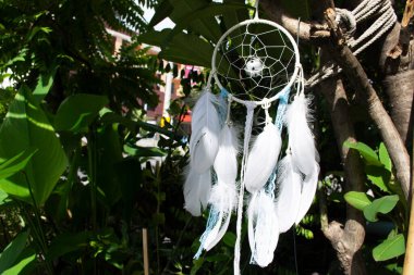 Rüzgardan gelen el yapımı rüya yakalayıcı ya da Tayland, Nonthaburi 'deki evin bahçesindeki ağaçta asılı duran düş kapanı.