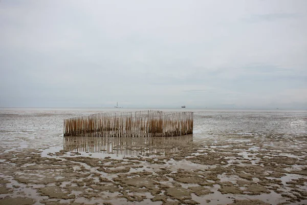 Veja Paisagem Paisagem Gaiola Peixes Floresta Manguezais Mar Para Pessoas — Fotografia de Stock