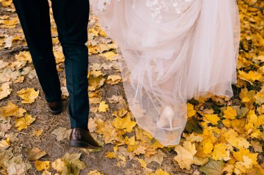 sonbahar parkı sarı yaprakları üzerinde yürüyen güzel düğün çift düşük bölümü