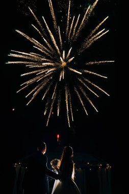 gece gökyüzünde havai fişek bakarak güzel genç düğün çift in arka görünümü