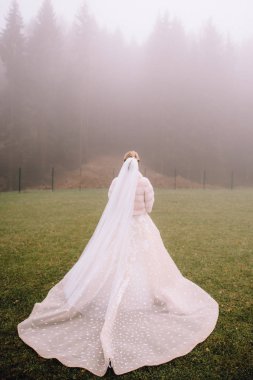 sisli sabah yeşil çim üzerinde duran gelinlik ve peçe güzel genç gelinin arka görünümü