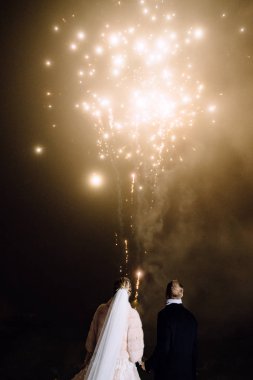 gece gökyüzünde görkemli havai fişek bakarak güzel genç düğün çift in arka görünümü