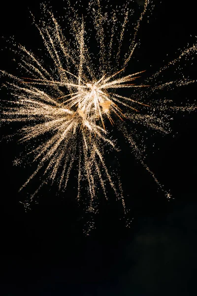 Vackra Ljusa Fyrverkerier Natthimlen Bröllopsfest — Stockfoto