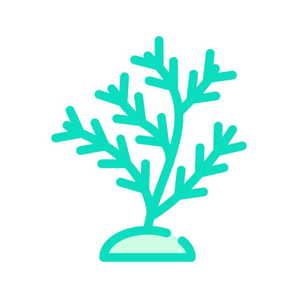 Coral aquático cor ícone vetor isolado ilustração —  Vetores de Stock