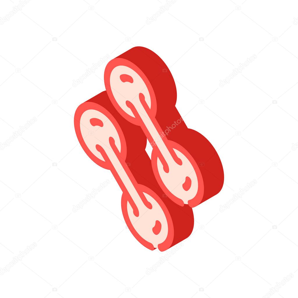 pathogen bacteria isometric icon vector isolated illustration