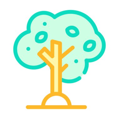 Zeytin ağacı renk ikonu vektör gösterimi