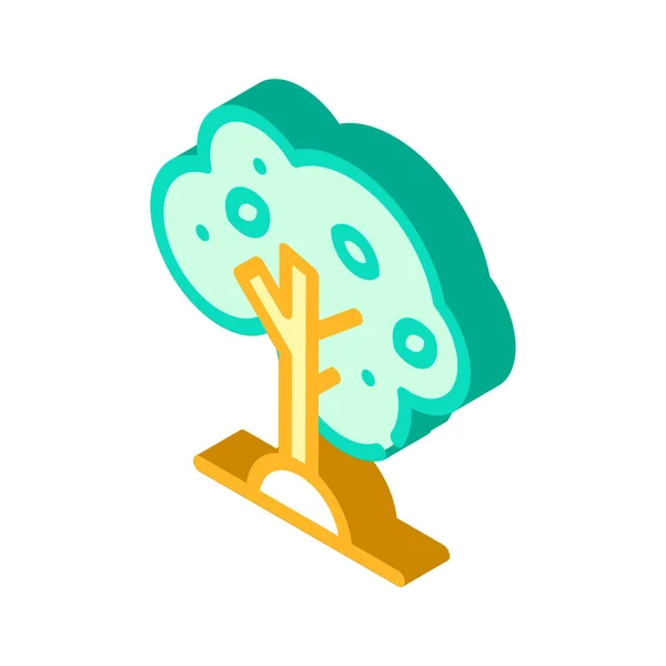 Árbol de olivo icono isométrico símbolo vectorial ilustración — Archivo Imágenes Vectoriales