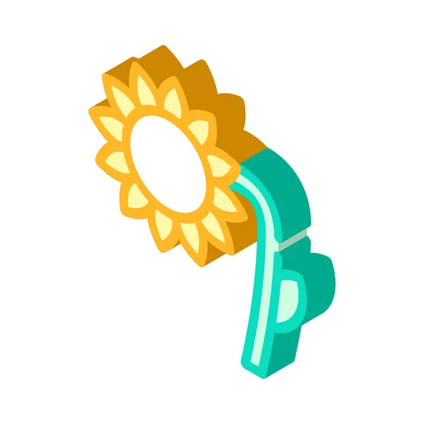 Sunflower plant isometric icon vector symbol illustration — Stock Vector