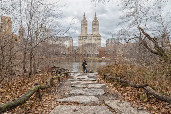 New York Usa Dezember 2018 Tageslicht Ansicht Des Central Park — Stockfoto