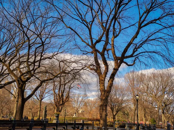 Parque Central Nueva York Vista Luz Del Día Que Muestra — Foto de Stock