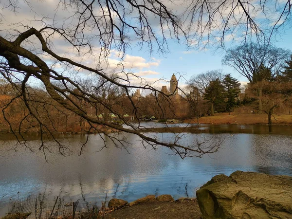 Central Park New York Dagsljusvy Med Människor Promenader New York — Stockfoto