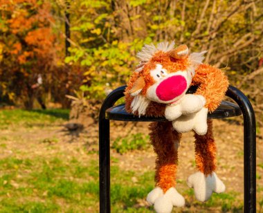 Sonbahar parkında yalnız oyuncak kedi