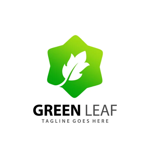 Résumé Gradient Eco Star Leaf Logo Design Vector Illustration Stock — Image vectorielle