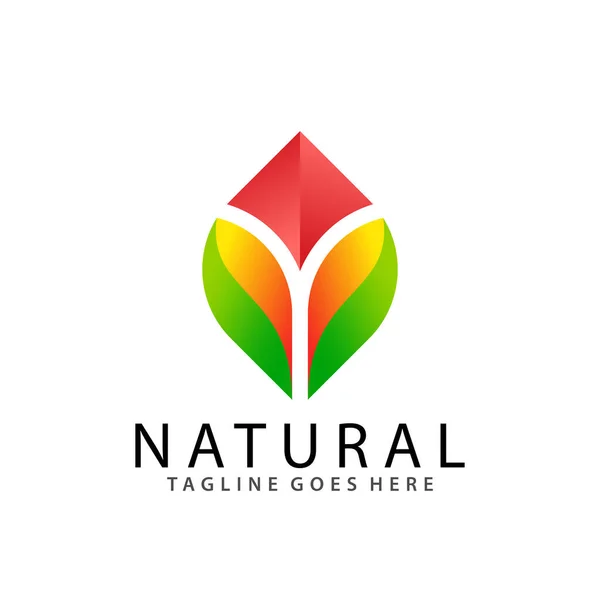 Abstract Green Leaf Arrow Logo Design Vector Illustration