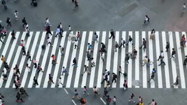 Shibuya Tokyo Japan Flygfoto Fotgängare Shibuya Crossing Scramble Crosswalk Största — Stockvideo