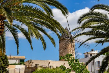 Palma 'daki yel değirmeni Balear Adası Mallorca, İspanya' da güneşli bir günde