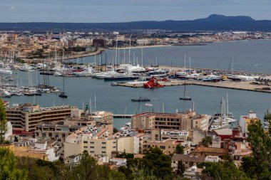 Güneşli bir günde İspanya 'nın Mallorca adasındaki Palma limanında panoramik manzara