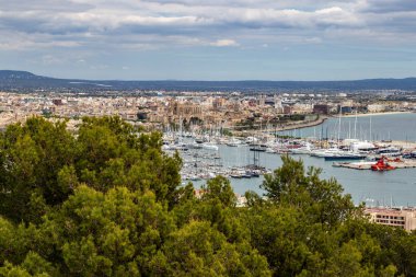 Güneşli bir günde İspanya 'nın Mallorca adasındaki Palma limanında panoramik manzara