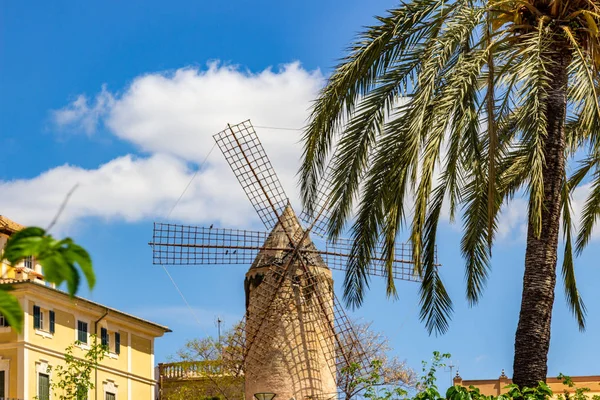 Windmill Palma Balearic Island Mallorca Spain Sunny Day Palm Trees — Stock Photo, Image