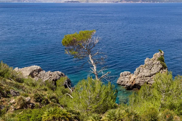 Bay Peninsula Victoria Mallorca Rock Water Rocky Coastline — Stock Photo, Image