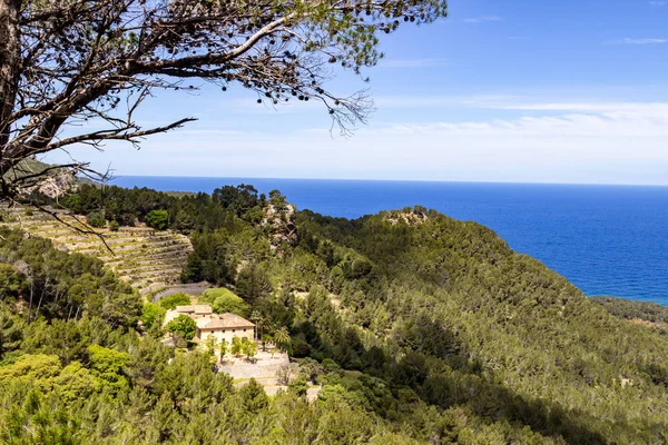 Scenic View Coastline North Mallorca Valldemossa Bayalbufar — Stock Photo, Image