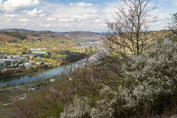 Moselle Nehri Vadisinde Panoramik Manzara Şehir Bernkastel Kues Planda Beyaz — Stok fotoğraf