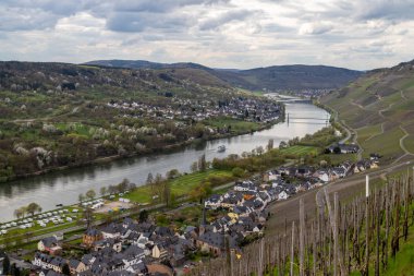 Moselle Nehri vadisinde panoramik manzara ve şarap köyleri Wehlen ve Graach