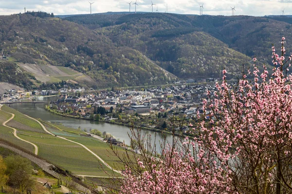 Panoramisch Uitzicht Vallei Van Moezel Stad Bernkastel Kues Met Roze — Stockfoto