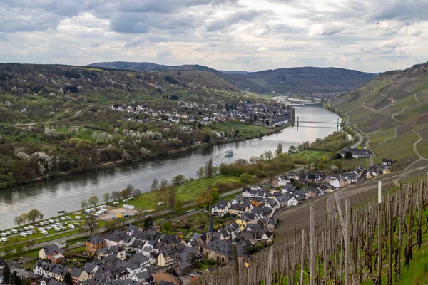 Панорамний Вид Долину Річки Мозель Виноробні Села Велен Граах — стокове фото