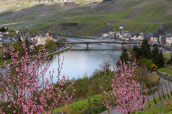 Kilátás Városra Bernkastel Kues Moselle Folyón Németország Moselle Híddal Bokor — Stock Fotó