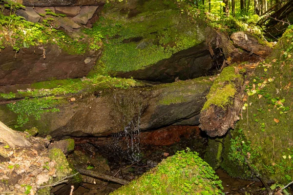 Agua Que Fluye Sobre Las Rocas Cubiertas Musgo Cañón Hexenklamm — Foto de Stock