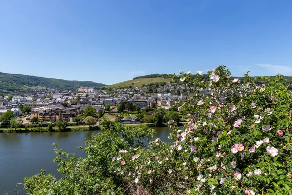 Szeroki Kąt Widzenia Bernkastel Kues Niemcy Doliny Rzeki Moselle — Zdjęcie stockowe