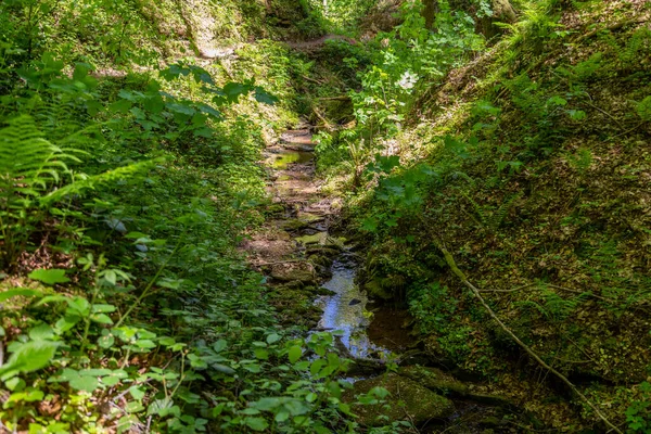 Pequeno Riacho Desfiladeiro Hexemklamm Floresta Palatinada Nas Proximidades Pirmasens Alemanha — Fotografia de Stock