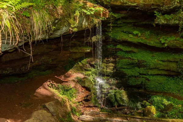 流过苔藓的水覆盖了峡谷中的岩石 — 图库照片