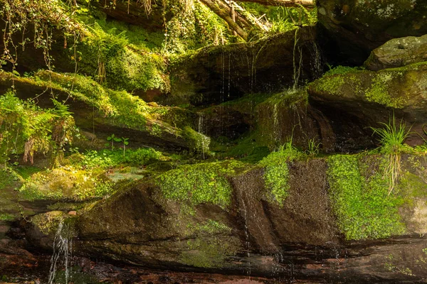 Água Que Flui Sobre Musgo Rochas Cobertas Cânion Hexenklamm — Fotografia de Stock