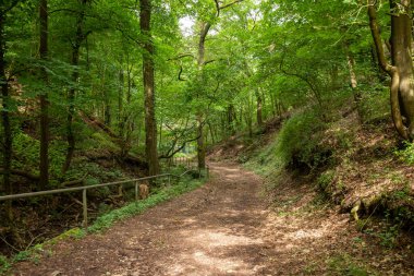 Bad Muenster am Stein-Ebernburg yakınlarındaki Rheingrafenstein 'a yürüyorum.