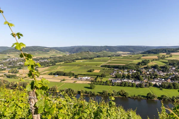 Vista Aérea Vale Rio Moselle Entre Aldeias Muelheim Brauneberg — Fotografia de Stock