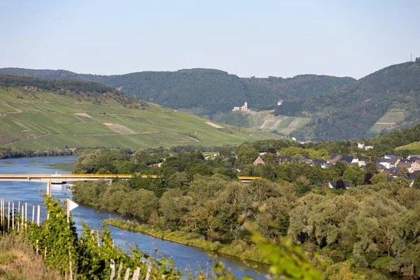 Scénický Pohled Řeku Moselské Údolí Blízkosti Obce Muelheim Vinicí Popředí — Stock fotografie