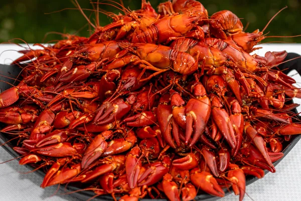 Montón Cangrejos Río Señal Cocidos Pacifastacus Leniusculus Listo Para Comer — Foto de Stock