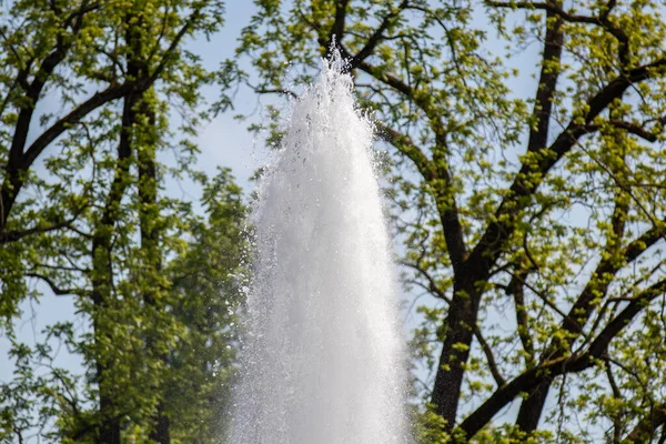 Water fountain in the park Warmer Damm in Wiesbaden, Germany