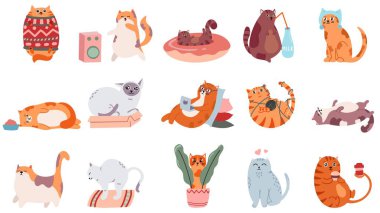 Sevimli kediler. Şirin dans eden kedi, komik kızgın kedi ve kedi vektör çizimi seti. Evcil hayvan kahve içiyor ve uyuyor. Kazaklı komik şişko hayvan, yoga yapıyor ve çıkartma yiyor.
