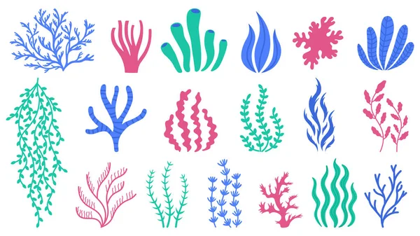 Corales marinos. Plantas submarinas, algas marinas marinas extraídas a mano, pólipos y corales, conjunto de ilustración de vectores de flora marina — Archivo Imágenes Vectoriales