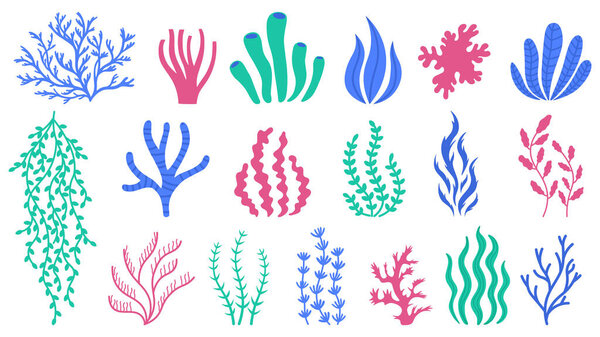 Sea corals. Underwater plants, hand drawn marine botanical seaweed, polyps and corals, sea flora vector illustration set