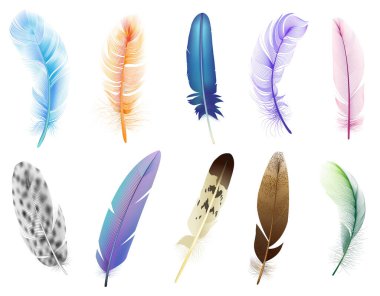 Realistic 3d feathers. Birds colored falling fluffy feathers, floating bird soft plumage feathers isolated vector icons set clipart