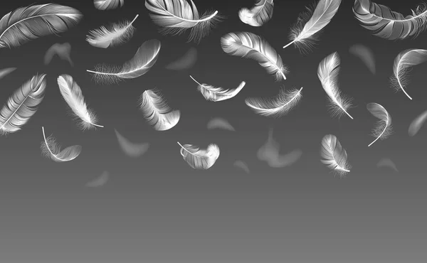 Plumas cayendo. Plumas esponjosas giradas realistas, flujo de plumas de alas de ángel esponjosas blancas, ilustración de fondo de plumaje de ave flotante — Vector de stock