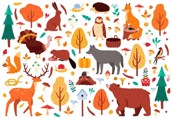 秋のかわいい動物。野生の手描きクマタヌキキツネや鹿の文字、森の鳥や動物の孤立ベクトルイラストのアイコンセット — ストックベクタ