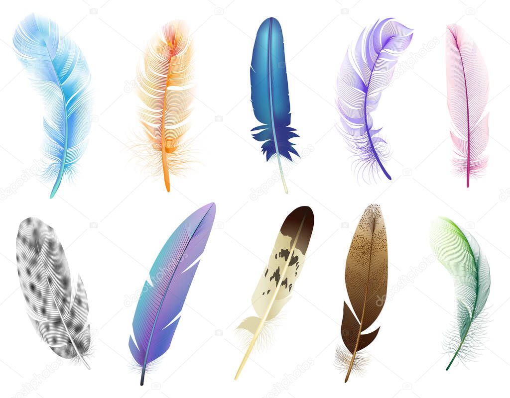 Realistic 3d feathers. Birds colored falling fluffy feathers, floating bird soft plumage feathers isolated vector icons set